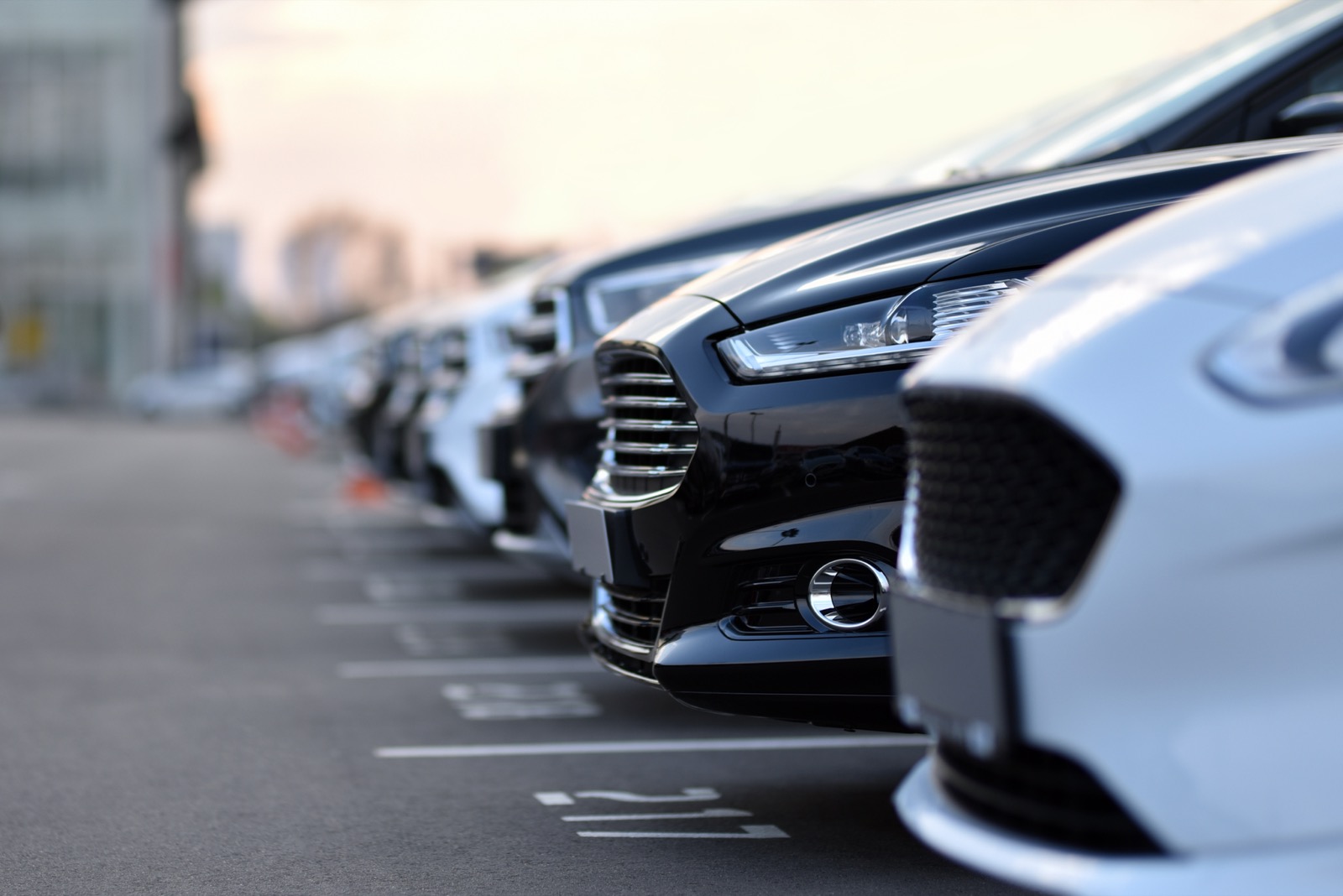 Row of rental cars